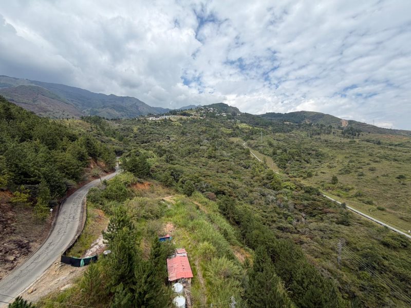 foto_104782_901271444_5180573605_ss