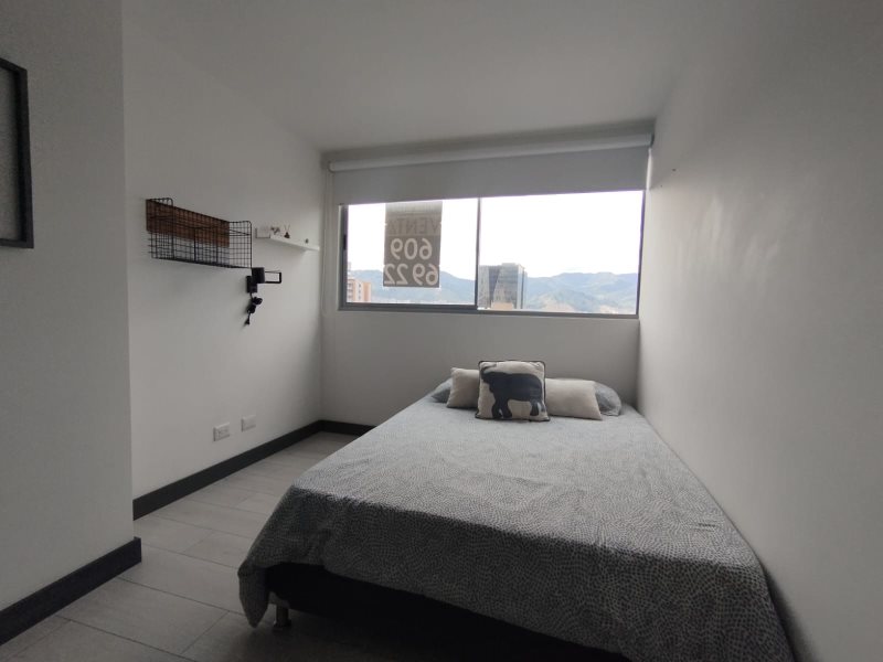 foto_104782_901271444_5189694561_ss