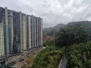 foto_104782_901271444_5226599541_ss