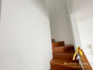 foto_104782_901271444_5317790591_ss