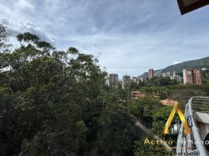 foto_104782_901271444_5827552942_ss