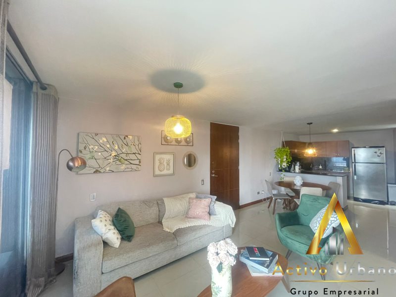 foto_104782_901271444_5904784648_ss