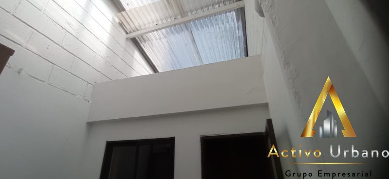 foto_104782_901271444_5952716047_ss