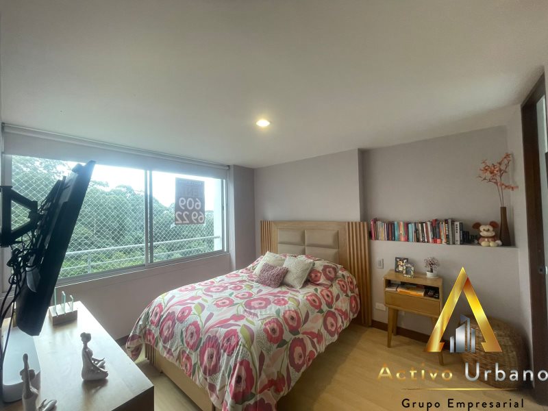 foto_104782_901271444_5976302378_ss