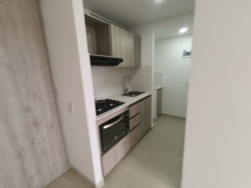 foto_104782_901271444_5998380109_ss