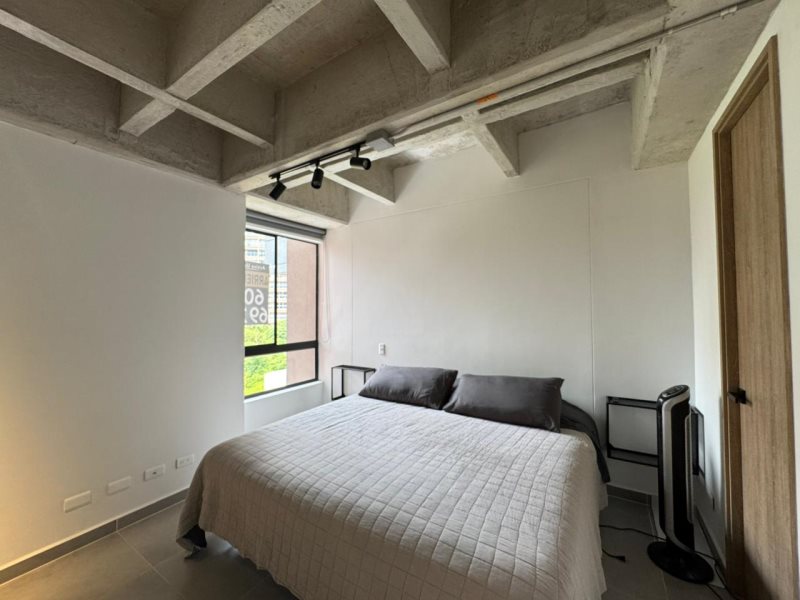 foto_104782_901271444_6053153239_ss