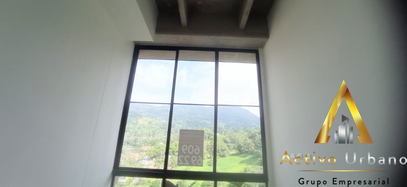 foto_104782_901271444_6074069417_ss