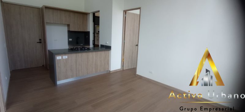 foto_104782_901271444_6103548227_ss