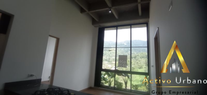 foto_104782_901271444_6116894940_ss