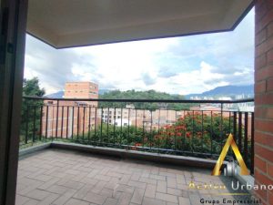 foto_104782_901271444_6123960716_ss