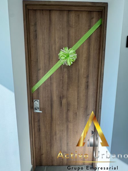 foto_104782_901271444_6224601474_ss