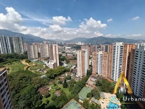 foto_104782_901271444_6240440350_ss