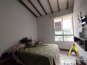 foto_104782_901271444_6242202876_ss