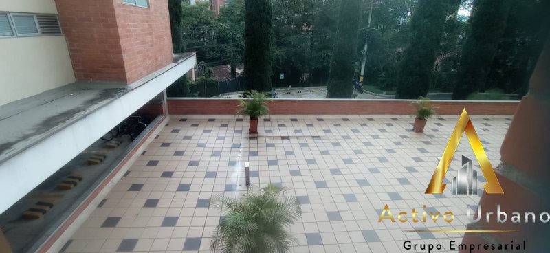 foto_104782_901271444_6365489113_ss