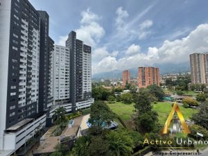 foto_104782_901271444_6489329559_ss