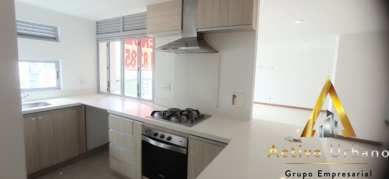 foto_104782_901271444_6505268966_ss