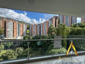 foto_104782_901271444_6558382118_ss