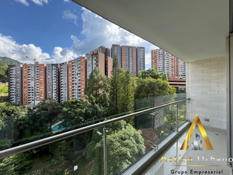 foto_104782_901271444_6558805265_ss