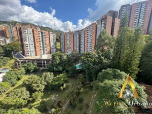 foto_104782_901271444_6579611677_ss