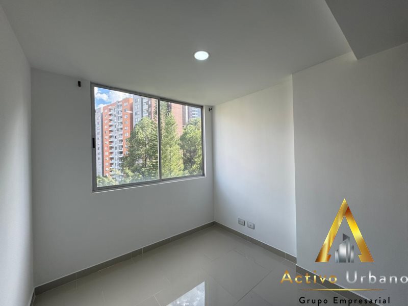 foto_104782_901271444_6584565930_ss