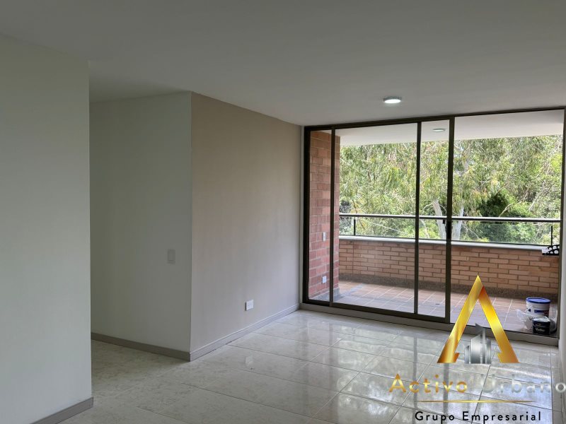 foto_104782_901271444_6593741007_ss