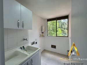 foto_104782_901271444_6608439949_ss