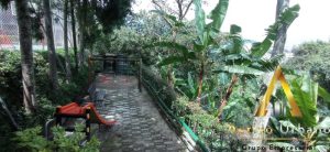 foto_104782_901271444_6777638032_ss