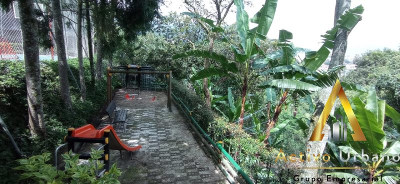 foto_104782_901271444_6777638032_ss