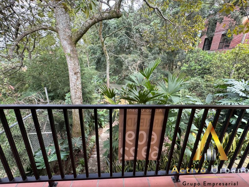 foto_104782_901271444_6780898624_ss