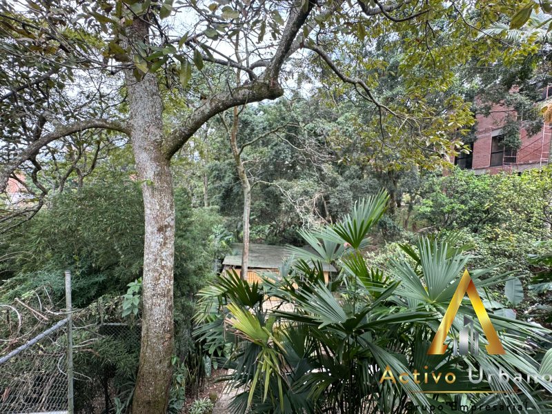 foto_104782_901271444_6785293664_ss