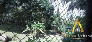 foto_104782_901271444_6830179360_ss