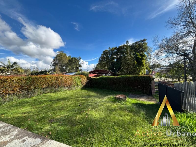 foto_104782_901271444_6834017825_ss