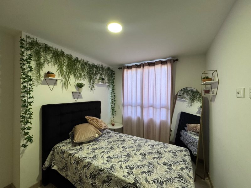 foto_104782_901271444_6854599094_ss