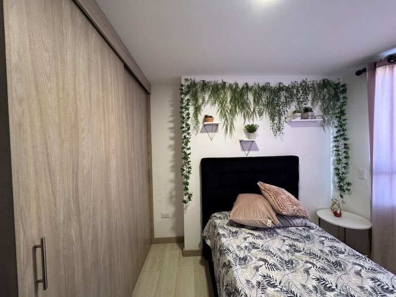 foto_104782_901271444_6866172129_ss