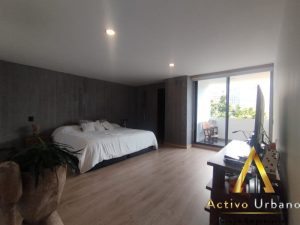 foto_104782_901271444_7145399460_ss