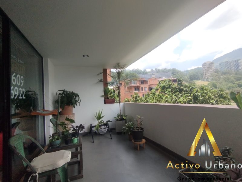 foto_104782_901271444_7176241227_ss