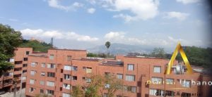 foto_104782_901271444_7179124705_ss