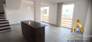 foto_104782_901271444_7189666059_ss