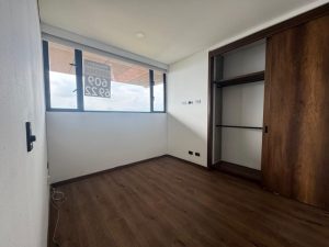 foto_104782_901271444_7259737432_ss