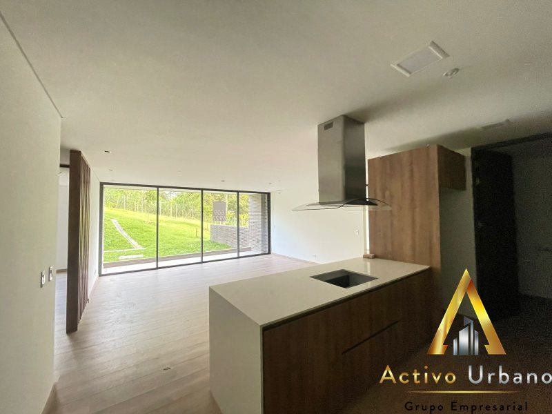 foto_104782_901271444_7427904598_ss