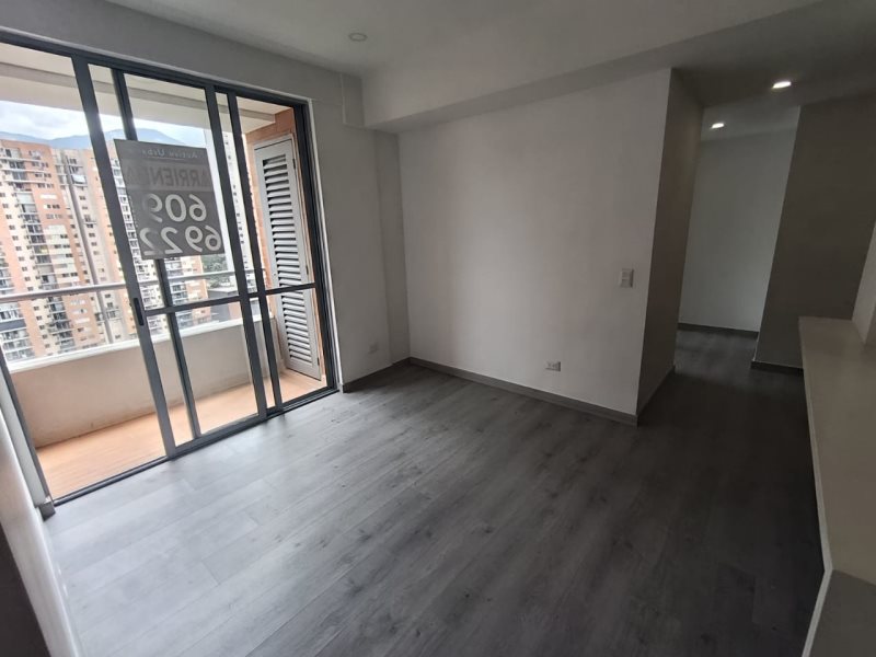 foto_104782_901271444_7517382249_ss