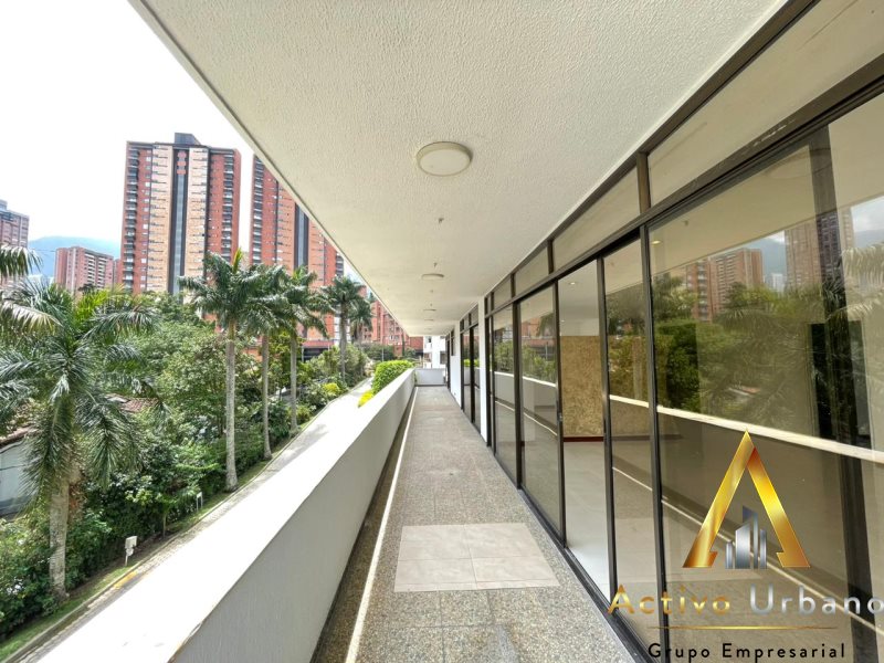 foto_104782_901271444_7528980655_ss