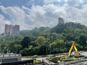 foto_104782_901271444_7634819803_ss