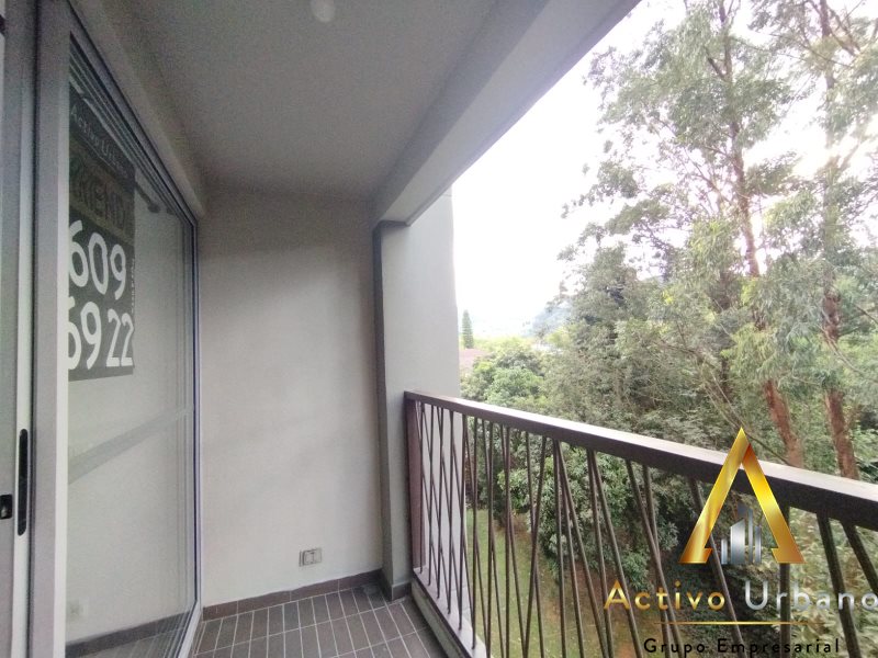 foto_104782_901271444_7758830459_ss