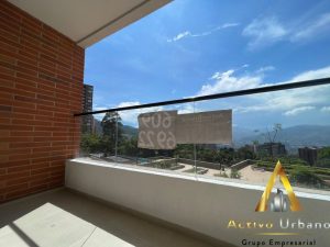 foto_104782_901271444_7808752602_ss