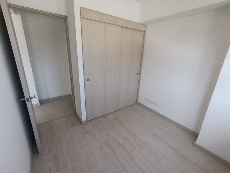 foto_104782_901271444_7884161675_ss