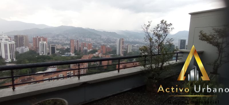 foto_104782_901271444_7918497269_ss