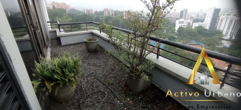 foto_104782_901271444_7919493619_ss