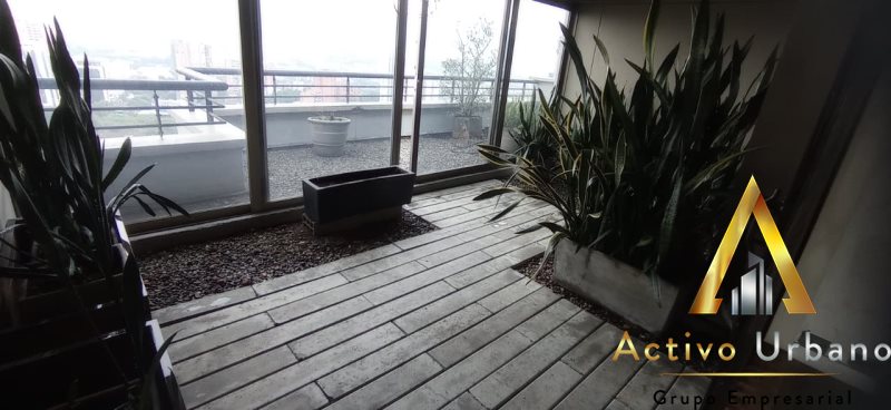 foto_104782_901271444_7956132709_ss