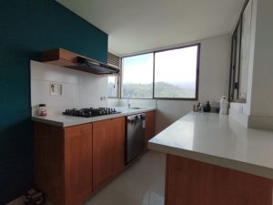 foto_104782_901271444_8026874346_ss